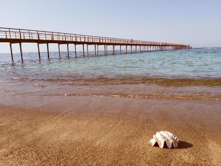 Lazuli Hotel, Marsa Alam El Qoseir Exteriör bild