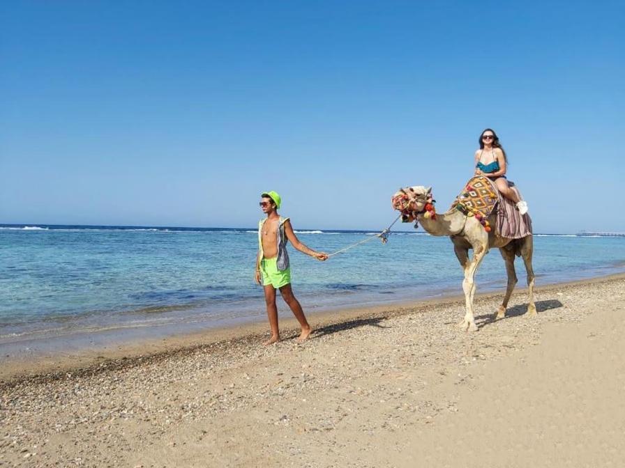 Lazuli Hotel, Marsa Alam El Qoseir Exteriör bild